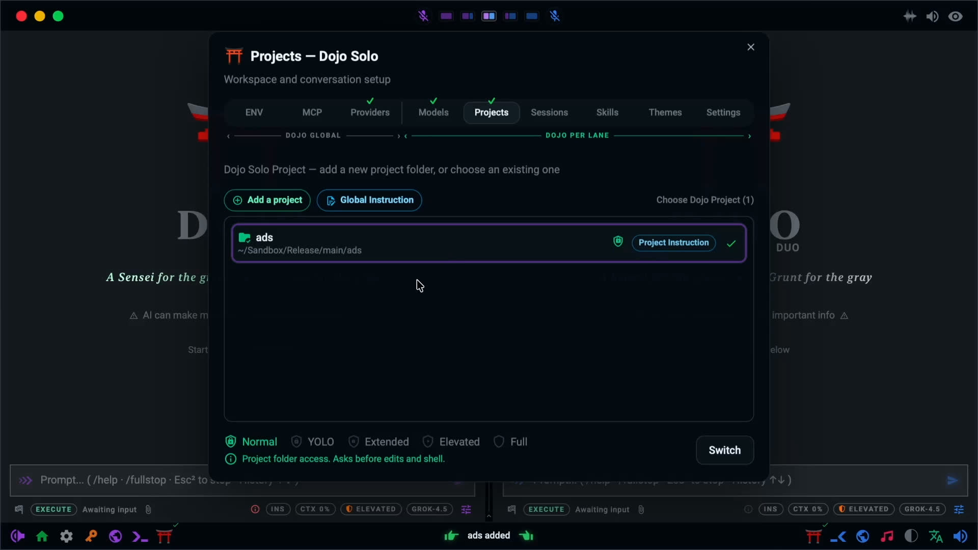 Dojo Workspace Projects panel showing an added project, project instructions, and access-level choices